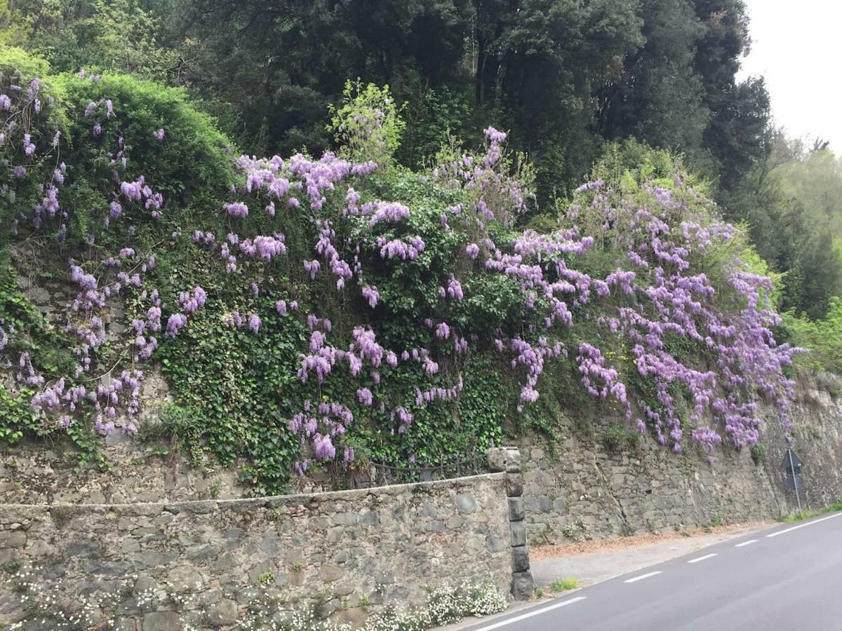 La Piccola Oasi Toscana Apartment Bagni di Lucca Luaran gambar
